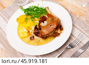 Portion of confit de canard served on plate. Стоковое фото, фотограф Яков Филимонов / Фотобанк Лори