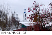 Зимний деревенский пейзаж в с.Толгоболь, Ярославского района, с ягодами калины на ветвях и Покровской церковью на заднем плане (2023 год). Стоковое фото, фотограф Николай Белавин / Фотобанк Лори