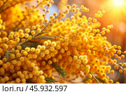 A beautiful fluffy bouquet of mimosa in a vase. Close-up. The concept of spring at home and International Women's Day on March 8th. Стоковое AI-изображение, AI-художник Photojuli / Фотобанк Лори