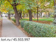Осень в городском парке Астрахани (бывший Губернаторский сад) (2013 год). Стоковое фото, фотограф Павел Просянов / Фотобанк Лори