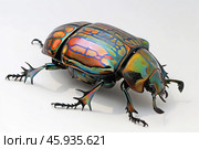 Iridescent beetle posing on white background. Стоковое AI-изображение, AI-художник Иван Рябоконь / Фотобанк Лори