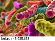 Colony of rod shaped bacteria is multiplying and forming a biofilm. Стоковое AI-изображение, AI-художник Иван Рябоконь / Фотобанк Лори