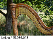 Elegant harp standing in a peaceful green setting. Стоковое AI-изображение, AI-художник Иван Рябоконь / Фотобанк Лори