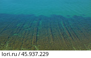 Underwater Seabed with Seagrass. A close-up of a shallow seabed with a dense growth of seagrass. The water is clear and turquoise, allowing for a clear view of the underwater landscape. Стоковое фото, фотограф Воловодов Владимир / Фотобанк Лори
