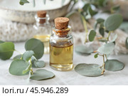 Eucalyptus essential oil surrounded by eucalyptus leaves. Стоковое AI-изображение, AI-художник Иван Рябоконь / Фотобанк Лори