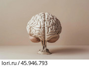Anatomical model of human brain sitting on pedestal, showing cerebrum, cerebellum, and brainstem. Стоковое AI-изображение, AI-художник Иван Рябоконь / Фотобанк Лори