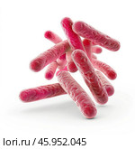 Rod shaped bacteria forming a cluster on white background. Стоковое AI-изображение, AI-художник Иван Рябоконь / Фотобанк Лори