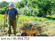 Пожилой мужчина на своем огороде в тачке вывозит сухую картофельную ботву. Стоковое фото, фотограф Роман Лукьянов / Фотобанк Лори