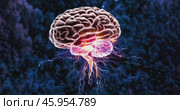 Electrical activity of impulses in the human brain on a dark blue background. Concept of brain function. Стоковое AI-видео, аниматор Александр Довянский / Фотобанк Лори