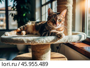 Pets. A cat in the interior of a house on a scratching post on a sunny day. Wean the cat from tearing furniture and wallpaper. Pet care and care. Стоковое AI-изображение, AI-художник Photojuli / Фотобанк Лори