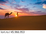 Indian cameleer camel driver camel silhouettes in dunes on sunset. Jaisalmer, Rajasthan, India (2019 год). Стоковое фото, фотограф Дмитрий Рухленко / Фотобанк Лори