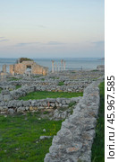 Sevastopol, Russia - October 13, 2024: Ruins of the ancient city of Tauris Chersonesus. Cremea. Редакционное фото, фотограф Екатерина Золина / Фотобанк Лори
