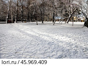 First snow on the lawn outdoor, snowdrift, snowy trees. Стоковое фото, фотограф Наталья Симакова / Фотобанк Лори