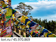 Prayer flags with buddhist inscriptions on the background of trees (2020 год). Стоковое фото, фотограф Алексей / Фотобанк Лори