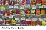 Video of packages of garden flower seeds with price tags in Russian in supermarket. Flower seedling growing at spring season. Editorial use. 17 January, 2025, Angarsk, Russia. Редакционное видео, видеограф Виктория Катьянова / Фотобанк Лори