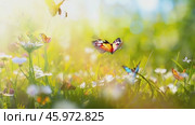 Beautiful bright summer spring background for bloggers or advertising with flying butterflies and fragrant flowers. Стоковое AI-видео, аниматор ALLA YURTAYEVA / Фотобанк Лори