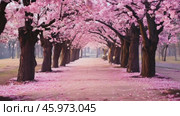 Beautiful Japanese Sakura Cherry Blossom Trees Blooming White and Pink Flowers Natural Cinematic 4K Slowmotion Footage. Стоковое AI-видео, аниматор ALLA YURTAYEVA / Фотобанк Лори