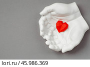 Stylish banner. In his hands, a red heart on a gray background is made of plaster. World Health, Love and Insurance Day. World Heart, Health and Organ Donor Day. Стоковое фото, фотограф Photojuli / Фотобанк Лори