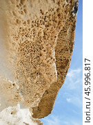 "Сырная скала" (Крым) (2010 год). Стоковое фото, фотограф Snezka / Фотобанк Лори