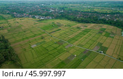 Rice Terrace, Ubud, Bali, Indonesia. Top view. Стоковое фото, фотограф Степанов Григорий / Фотобанк Лори