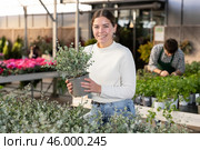 Young woman choosing a pot of eucalyptus. Стоковое фото, фотограф Яков Филимонов / Фотобанк Лори