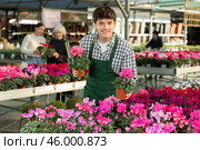 Male worker arranging pots with plants. Стоковое фото, фотограф Яков Филимонов / Фотобанк Лори