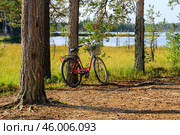 Красный велосипед в лесу. Стоковое фото, фотограф Головкова Елена / Фотобанк Лори