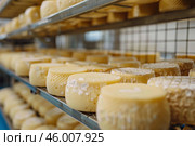 Wheels of cheese ripening on metal shelves in a cellar. Стоковое AI-изображение, AI-художник Иван Рябоконь / Фотобанк Лори