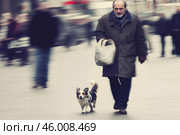 Задумчивый пожилой мужчина идет по зимней улице с сумкой и собакой рядом. Street photo. Стоковое AI-изображение, AI-художник Сергей Никифоров-Гордеев / Фотобанк Лори