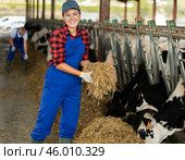 Positive girl takes armful of straw from pile with hands and gives it to cows. Стоковое фото, фотограф Яков Филимонов / Фотобанк Лори