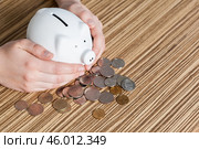 Piggy bank protected by hands. Стоковое фото, фотограф Сергей Толмачёв / Фотобанк Лори