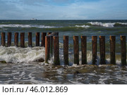 View of the Baltic Sea and wooden breakwaters of the city beach on a sunny summer day, Svetlogorsk, Kaliningrad region, Russia. Стоковое фото, фотограф Ula Ulachka / Фотобанк Лори
