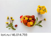 Easter composition with spring bouquet of yellow dandelion flowers and painted red Easter eggs on chicken-shaped plate on white table. Flat lay, copy space, mock up, top view, blank. Стоковое фото, фотограф Виктория Катьянова / Фотобанк Лори