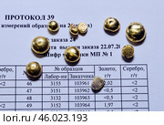 Капли золота, полученные в лабораторных условиях из обогащенной золотосодержащей руды на месторождении "Бадран". Восточная Сибирь, Республика САХА (Я), Оймяконский район (2010 год). Редакционное фото, фотограф Павел Просянов / Фотобанк Лори