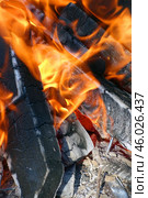 Костровище, горящее полено, пламя и угли. A bonfire, a burning log, flames and coals. Стоковое фото, фотограф Татьяна Д / Фотобанк Лори