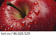 Close-up image of a ripe juicy red apple covered in dew drops. Dark red apple with water droplets on it, macro. Fresh organic fruit banner. Apples background. Shiny fruit, healthy, nutrition. Стоковое AI-видео, аниматор Марина Демидюк / Фотобанк Лори