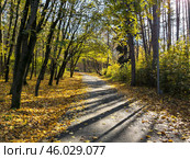 Осенний пейзаж. Кисловодский национальный парк. Стоковое фото, фотограф Вячеслав Палес / Фотобанк Лори