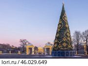Новогодняя елка на площади Пролетарской Диктатуры и вид на Смольный институт. Редакционное фото, фотограф Сергей Веселовский / Фотобанк Лори