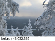 Заснеженные ели и горы. Стоковое фото, фотограф Антон Марунько / Фотобанк Лори