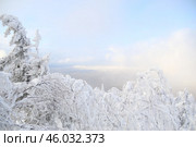 Снежный лес в горах. Стоковое фото, фотограф Антон Марунько / Фотобанк Лори