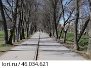 Аллея парка весной. Стоковое фото, фотограф Юлия Буянова / Фотобанк Лори