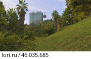 The cable car is passing over the Sochi Arboretum, offering one of the most scenic views of the resort city. Кабинка канатной дороги проезжает над Сочинским дендрарием, откуда открывается живописный вид на город-курорт. Стоковое видео, видеограф Валерий Тесаков / Фотобанк Лори