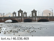 Река Фонтанка в туманный зимний день.  Старо-Калинкин мост. Санкт-Петербург (2017 год). Стоковое фото, фотограф Александр Алексеев / Фотобанк Лори