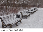 Много заснеженных лавочек в Бирюлевском дендропарке зимой.  (2021 год) Стоковое фото, фотограф Юлия Кутыгина / Фотобанк Лори