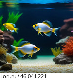 A green beautiful planted tropical freshwater aquarium with fishes.Freshwater aquarium fish, The Sail-fin molly, (Poecilia velifera ), gold, white, silver and dalmatin mutation. Стоковое AI-изображение, AI-художник Александра Рублева / Фотобанк Лори