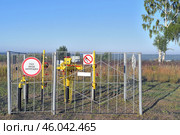 Газорегуляторный пункт (ГРП) и береза в чистом поле (2022 год). Редакционное фото, фотограф Владимир Литвинов / Фотобанк Лори