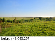 Countryside landscape with a field and trees in central Russia, evening. Стоковое фото, фотограф Володина Ольга / Фотобанк Лори