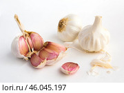 Garlic heads and cloves on white background. Стоковое фото, фотограф Татьяна Яцевич / Фотобанк Лори