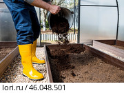 A male farmer pours new soil, soil for a new greenhouse. The concept of spring vegetable planting, greenhouse installation and farming. Стоковое фото, фотограф Photojuli / Фотобанк Лори