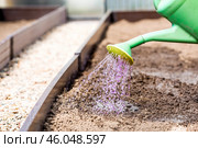There is a watering can in the hands of an elderly woman. The farmer waters the garden with solutions of potassium permanganate against diseases and pests before planting seedlings in the ground. Стоковое фото, фотограф Photojuli / Фотобанк Лори
